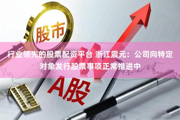 行业领先的股票配资平台 浙江震元：公司向特定对象发行股票事项正常推进中